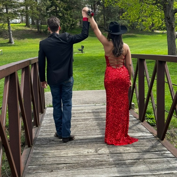 Prom/formal dress - Picture 2 of 2